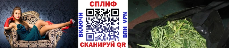 Где купить наркотики Сосновоборск АМФЕТАМИН  APVP  Гашиш  КОКАИН  Каннабис 